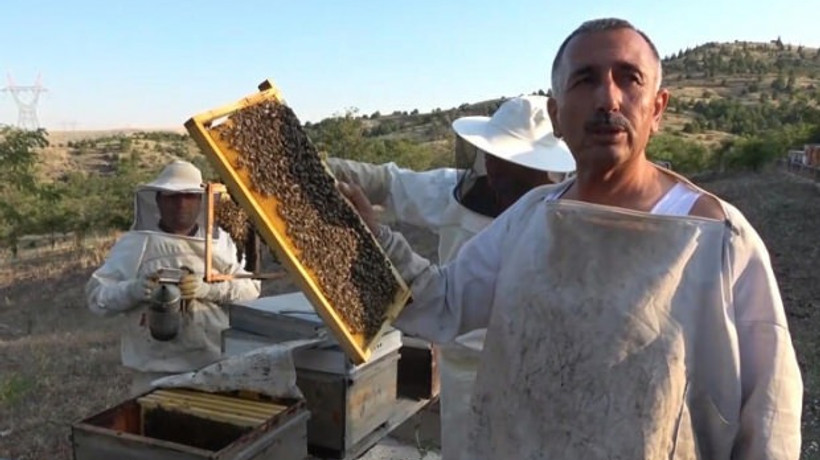 Yeni gelir kapısı oldu! Kilosu 150 lira