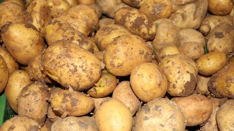 Patates ve soğana yeni düzenleme