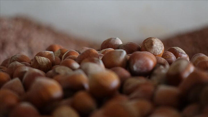 Türkiye geçen yıl en fazla İtalya'ya fındık sattı
