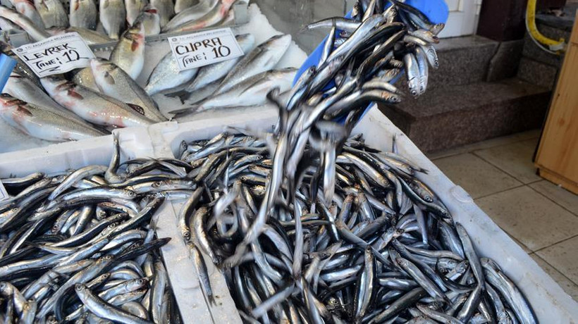 Hamsi ihracatı 6,3 milyon dolar kazandırdı