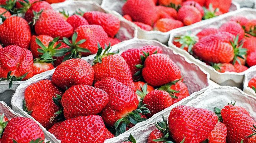 Mayısta en fazla çileğin fiyatı arttı, sivri biber yarı yarıya düştü