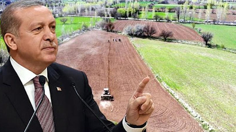Erdoğan'ın talimatı ile 7 ilde çiftçiye ücretsiz arazi verilecek
