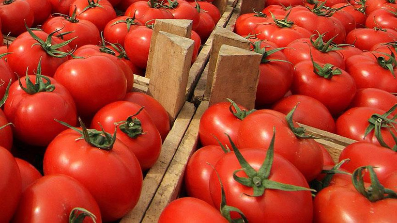 Domates ihracatında kotanın kaldırılması talebi