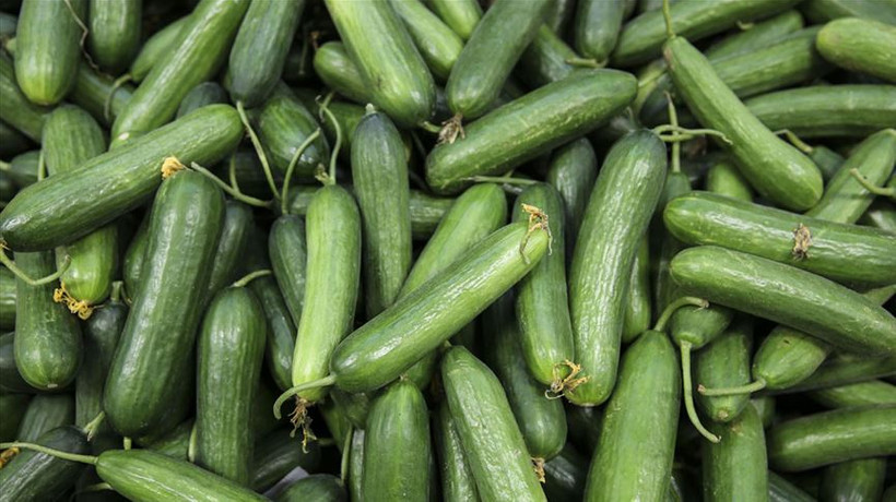 Ağustos ayı zam şampiyonu belli oldu