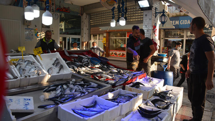 Sinop'ta palamudun 6 tanesi 10 lira