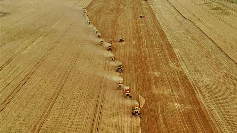 Bazı tarım ürünlerinde gümrük vergisi sıfırlandı