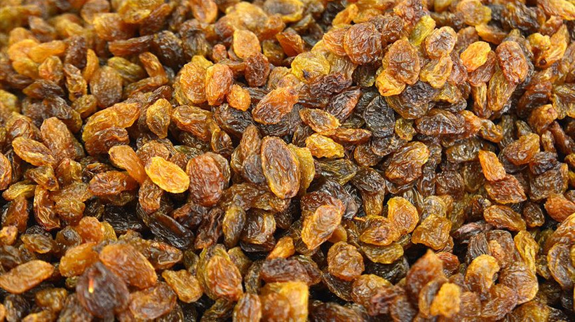 Türkiye kuru üzüm üretiminde açık ara dünya lideri