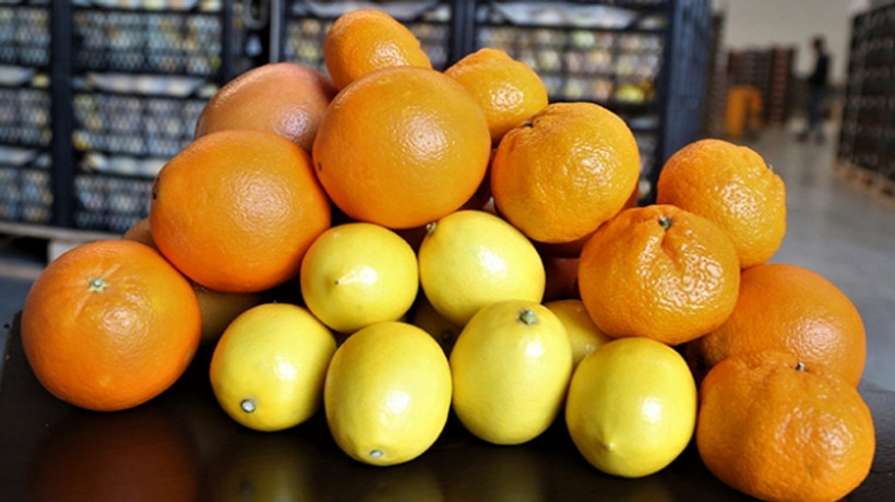 Turunçgil ihracatından 2 ayda 17,7 milyon dolar gelir