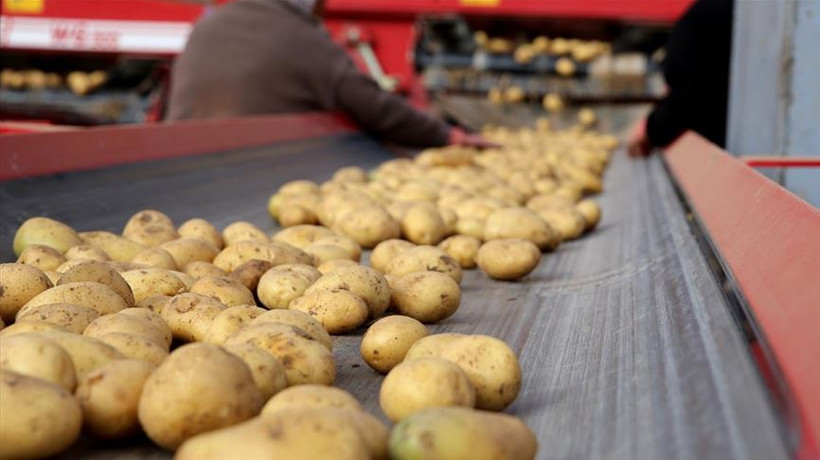 Patates üreticileri ihracat teşviki bekliyor