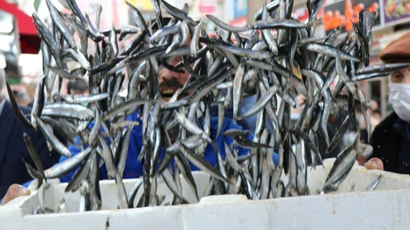 Ocakta 920 bin dolarlık hamsi ihracatı gerçekleşti