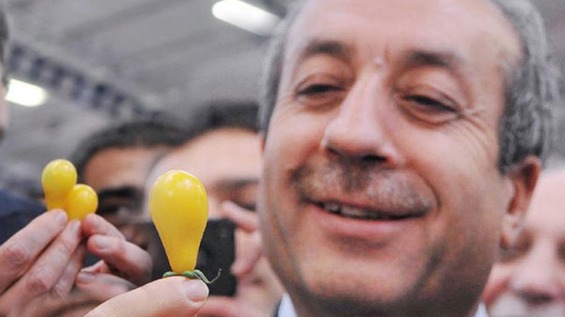 'Ampul domates' tutmadı