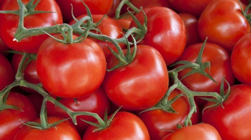 İstanbul'da Nisan ayında en çok domatesin fiyatı arttı