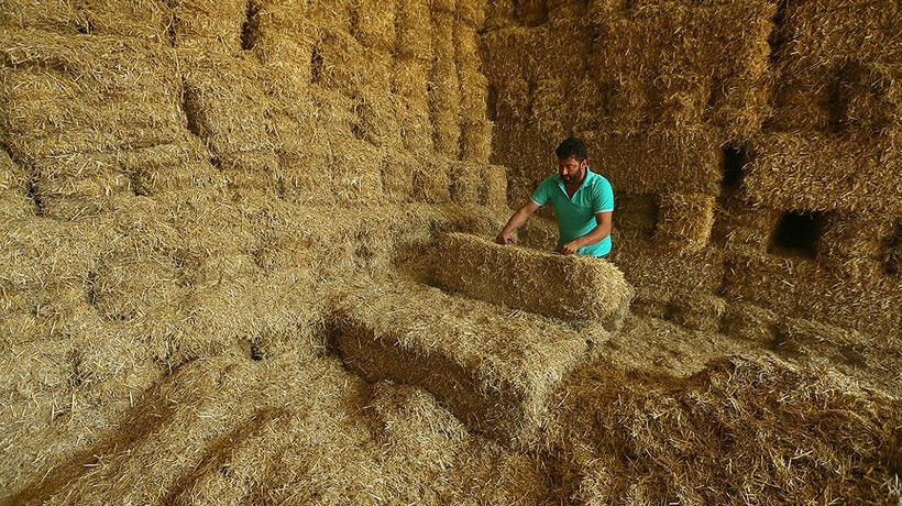 Saman fiyatları ikiye katlandı