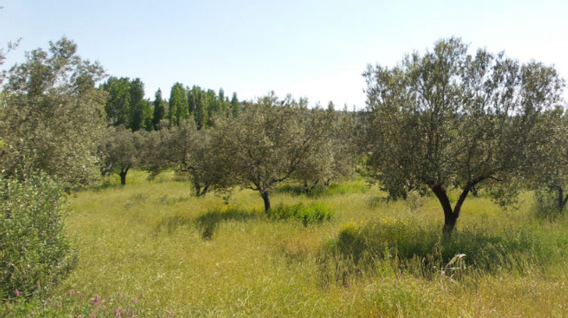 TZOB Başkanı Bayraktar isyan etti!
