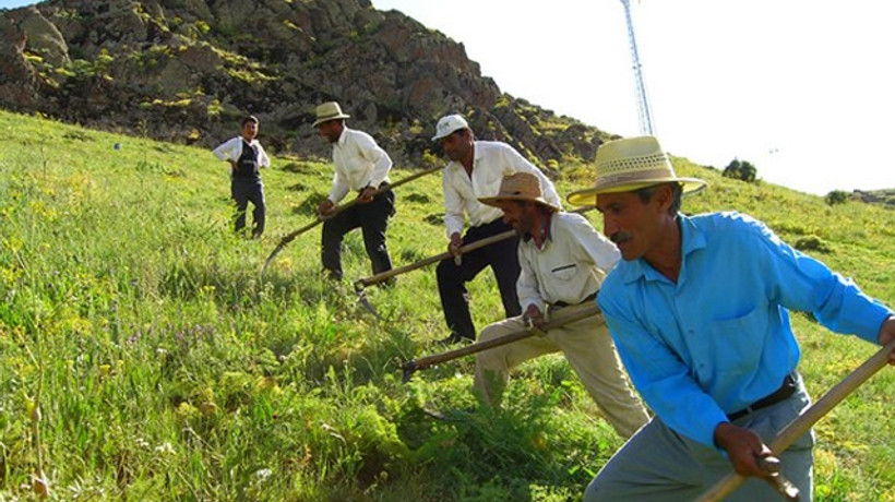 Çiftçiye büyük darbe!