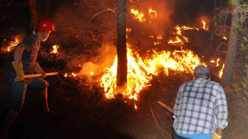 Bakan Bilgin: Orman yangınlarından etkilenenlerin sosyal güvenlik prim borçlarını 4 ay erteliyoruz