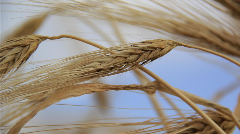 Vergi sıfırlandı! Erdoğan imzaadı