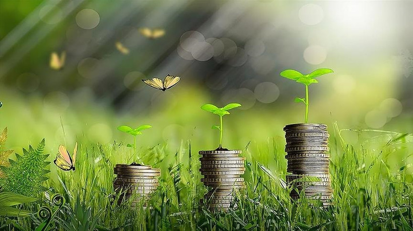 Yeşil dönüşüm projesi olan genç girişimcilere 200 bin liralık hibe desteği verilecek