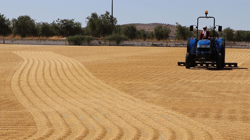 TMO'dan tarım ürünleri alım fiyatı açıklaması