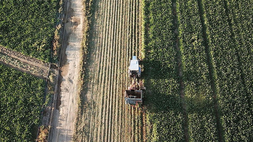 Kırsal kalkınma için 200 milyon TL hibe verilecek