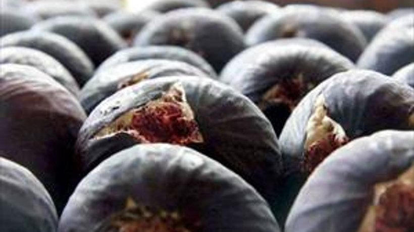 İncir ihracatçısı ‘hormon’ nöbetinde