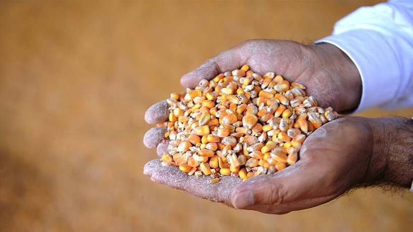 Tarım Bakanı Vahit Kirişci: Hububatta stok yeterli