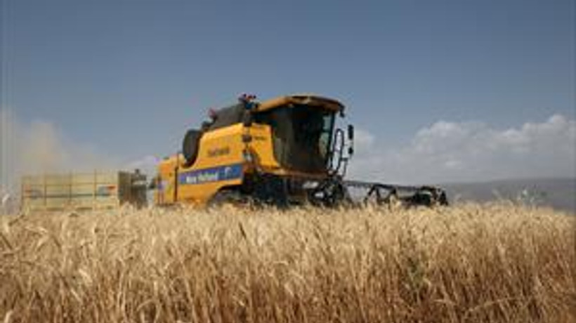Erzurum'da buğday hasadı başladı