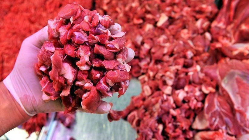 Kırmızı et üretimi yüzde 9,3 arttı