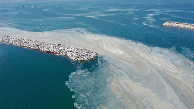 Müsilaj tedbirleri ilk meyvesini verdi