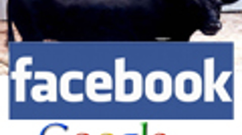 Facebook ve Google'la 'boğa' güreşi!