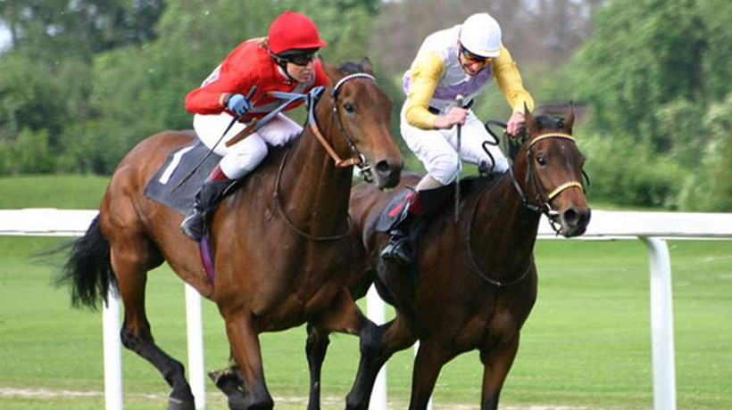 Spor Toto ve At Yarışları özelleşiyor