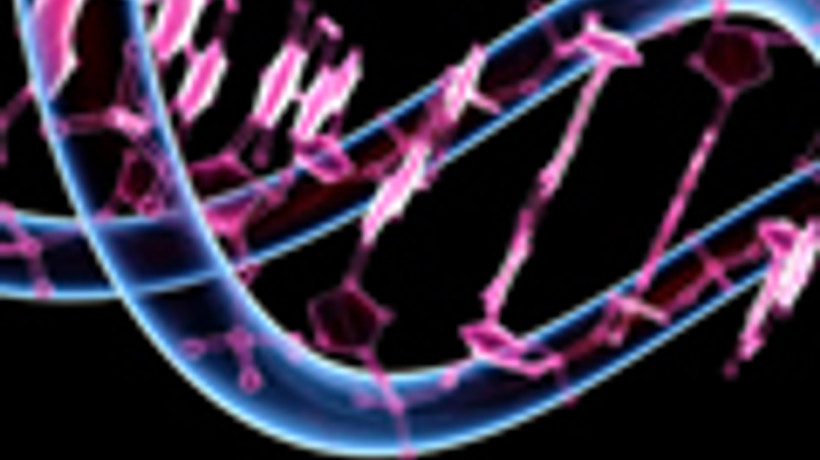 Genlerin üzerine 52 bin kelime kopyaladılar!