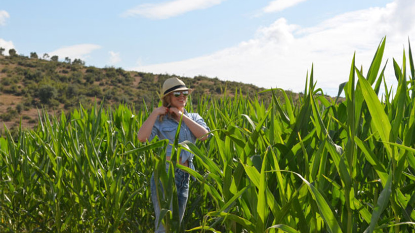 Tarihi rekora gidiliyor!