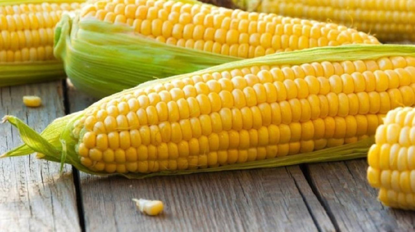 Mısır fiyatları iki ayın zirvesinde