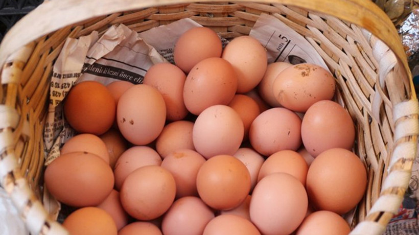 Tavuk yumurtası üretimi yıllık bazda 5.1 arttı