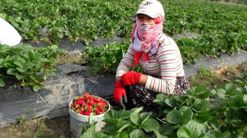 Deprem bölgesine yönelik kredi taksiti ertelemesi 3 bin orman köylüsünü rahatlatacak