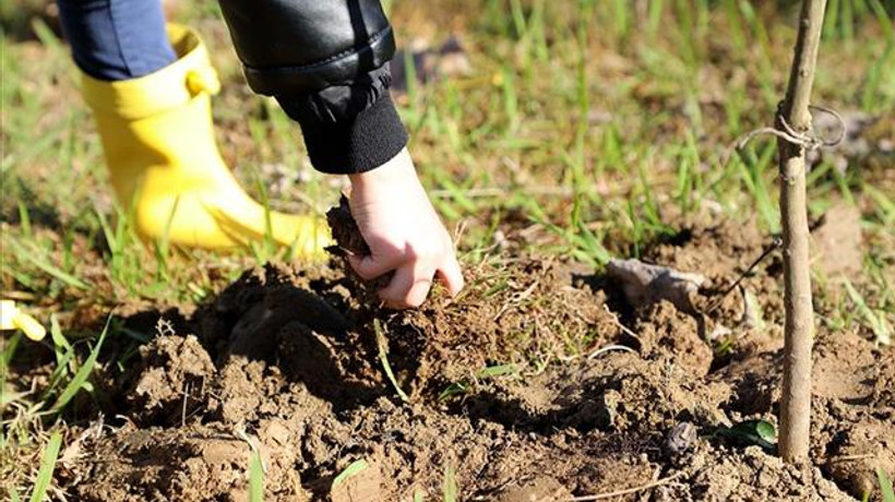 Fide üretiminde sertifikasyon başvuru süresi uzatıldı