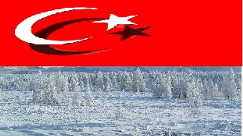 Türk şirketi Kuzey Kutbu'nu keşfetti!