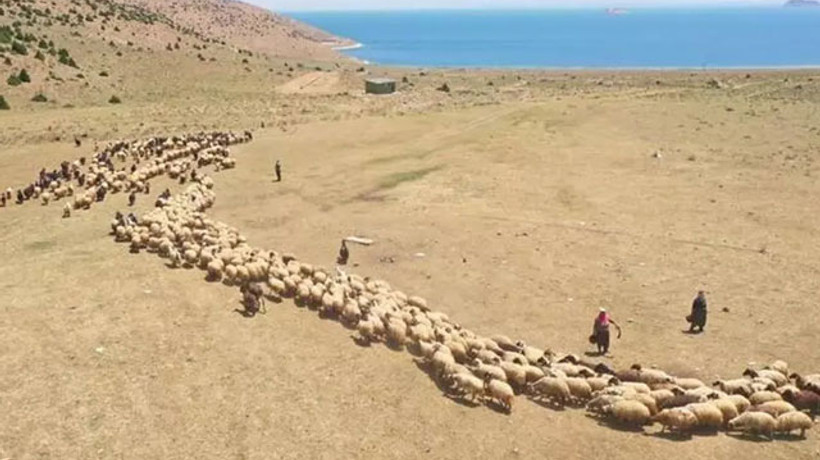 Ayda 40 bin TL kazandırıyor! Eleman bulunamıyor