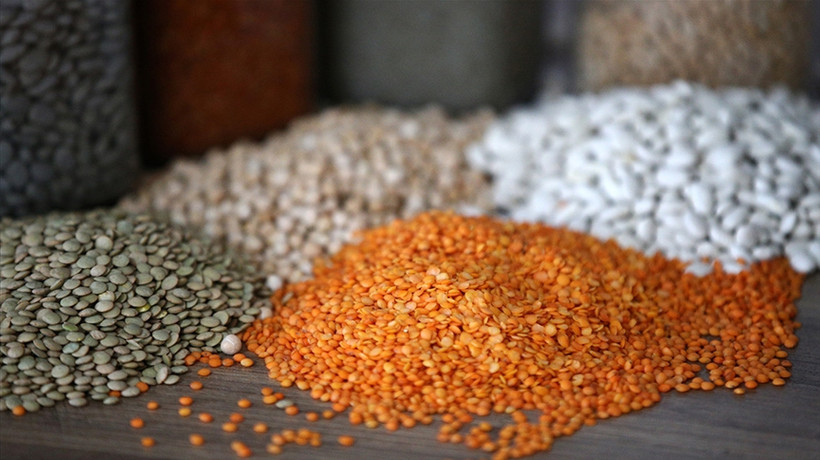 TMO, 10 milyon ton hububat alacak