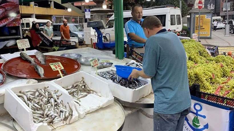 İstavrit ve hamsiler 100 liradan satışta