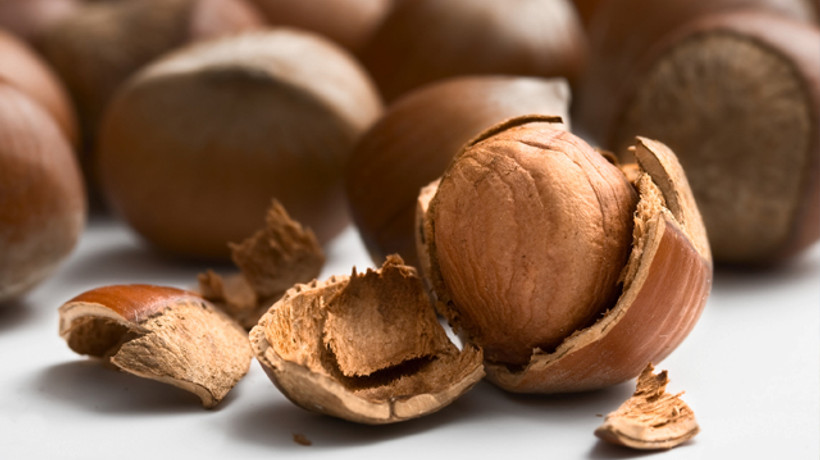 Fındık fiyatlarında rekor üstüne rekor