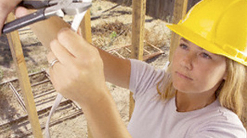 İnşaatı da dişi kuş yapacak!