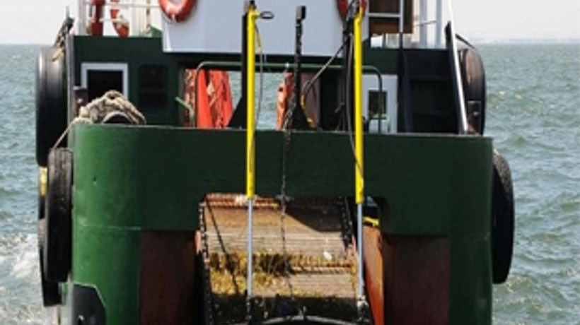 Körfezin pisliğine süpürge yetmedi!