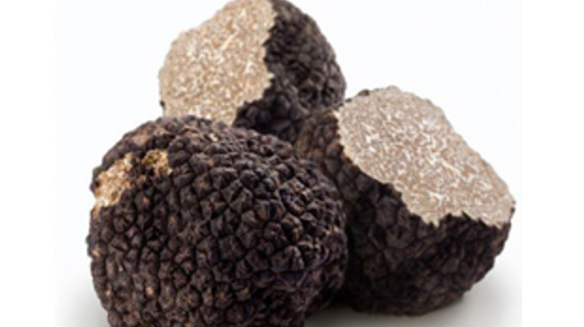 6 milyar dolarlık ticaret Türkiye'de telef oluyor!