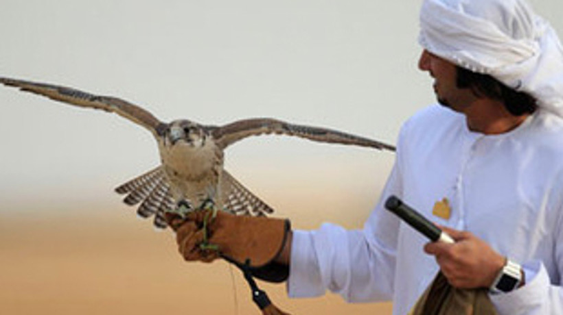 Kanatlı skandal: 2 Suudi Prens gözaltında!