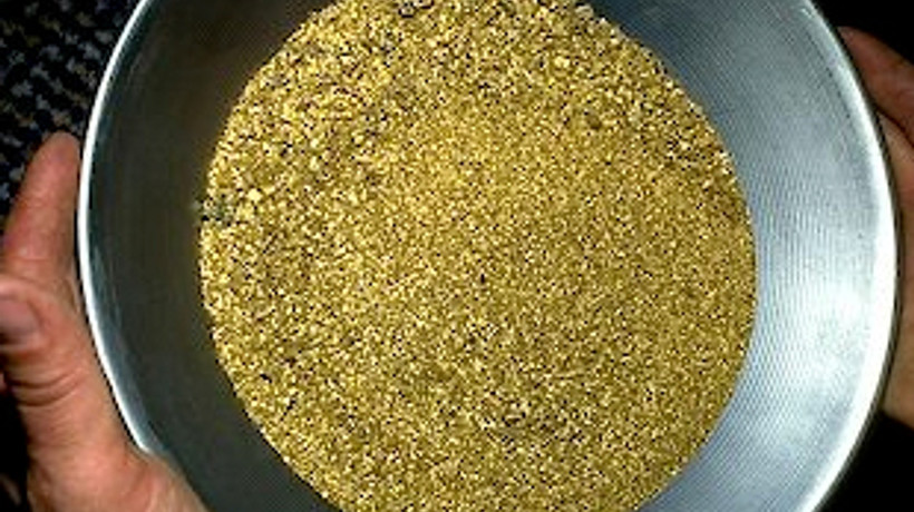 700 bin dolarlık altın toz oldu!