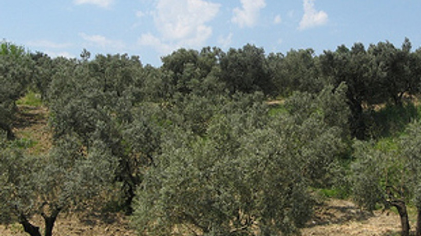 Yabancılar 6 milyon m2'yi kapattı!