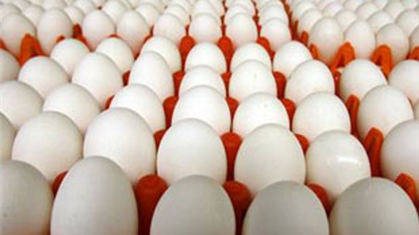 Bakkallar artık yumurta satamayacak!