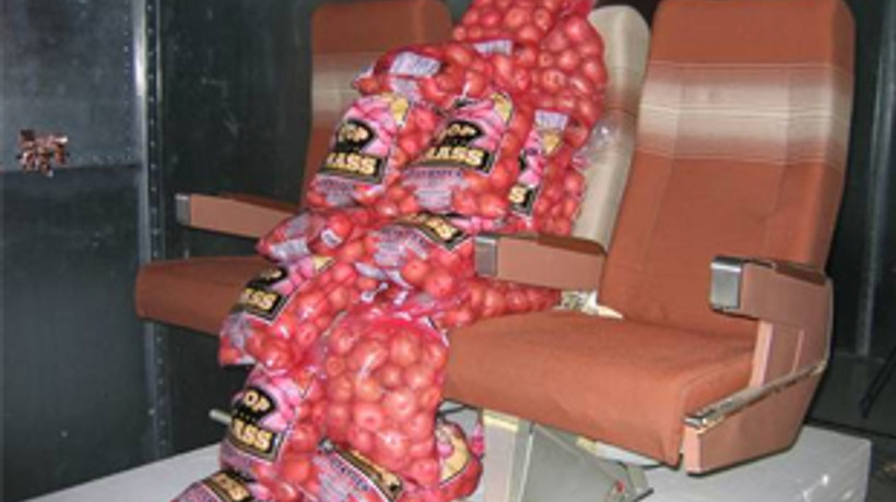 Uçak dolusu patatesle cep telefonu testi!